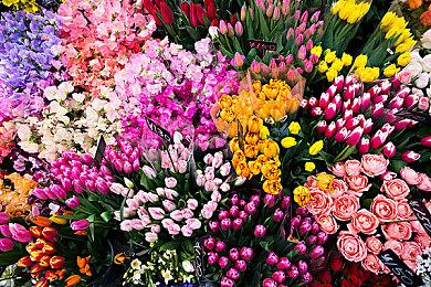 《星球大战：亡命之徒》这么不待见？社交媒体上无人讨论